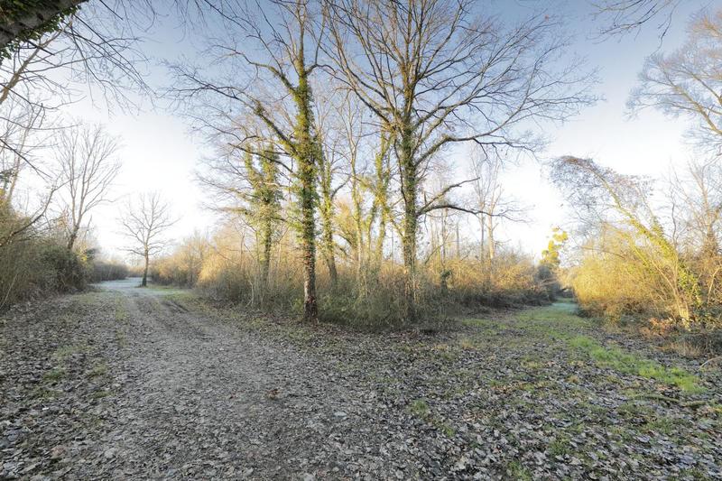 Terrain - 15 113 m²