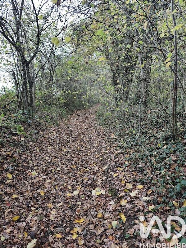 Terrain - 405 918 m²