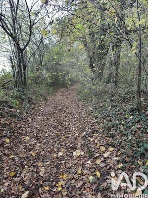 Terrain - 405 918 m²