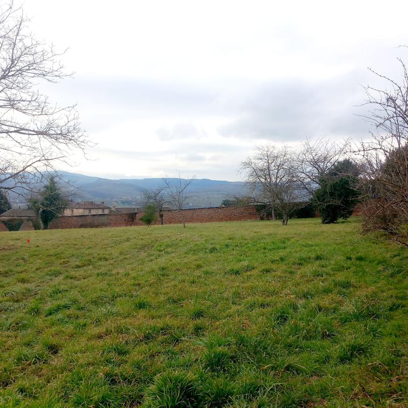 Terrain constructible - 1 750 m²