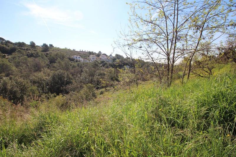 Terrain constructible - 7 309 m²