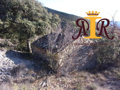 Terrain agricole - 17 700 m²