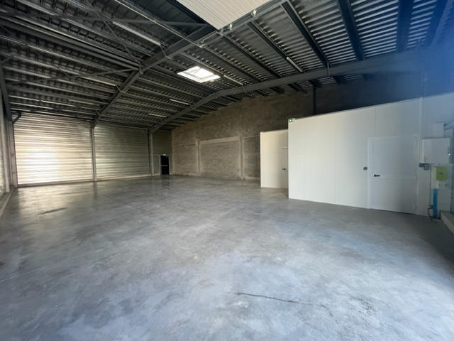 Local d'activité / Entrepôt - 1 000 m²
