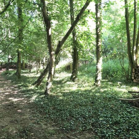 Maison - 230 m² - 9 pièces