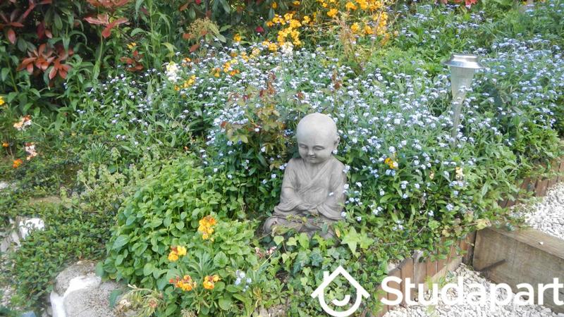 Appartement - 25 m² - 1 pièce