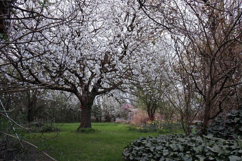 Maison - 900 m² - 24 pièces