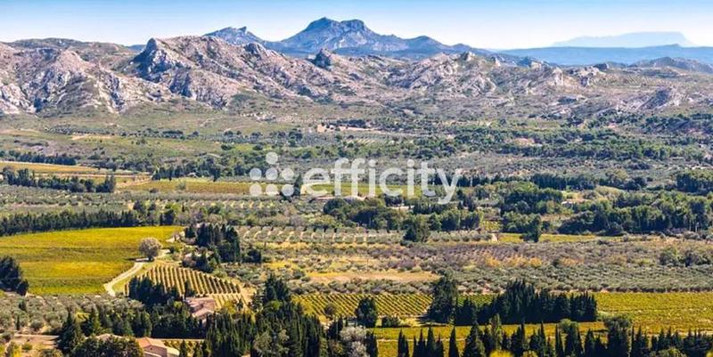 Bureau - 1 100 m² - 24 pièces