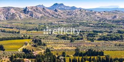 Bureau - 1 100 m² - 24 pièces