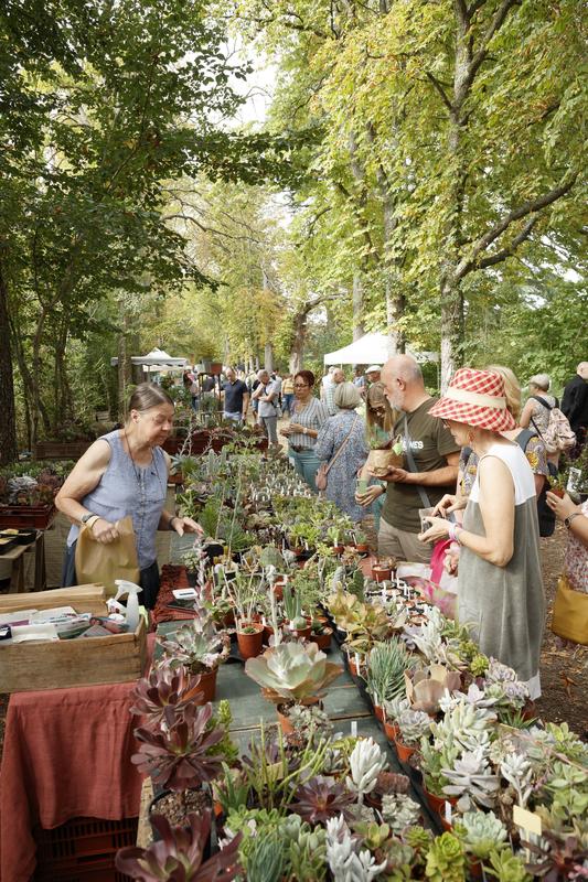 Les Botaniques de Chaumont-sur-Loire