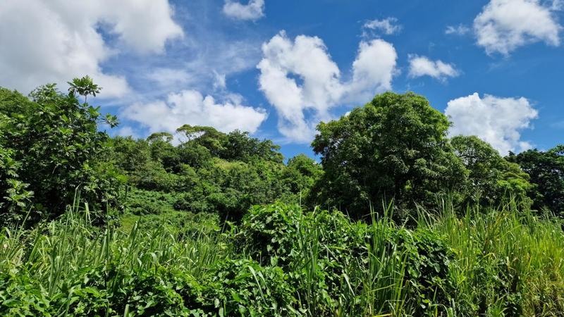 Terrain constructible - 647 m²