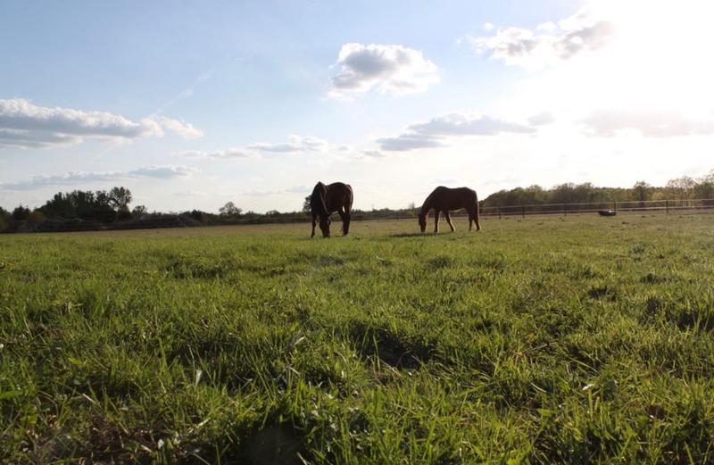 Maison - 92 m² - 5 pièces