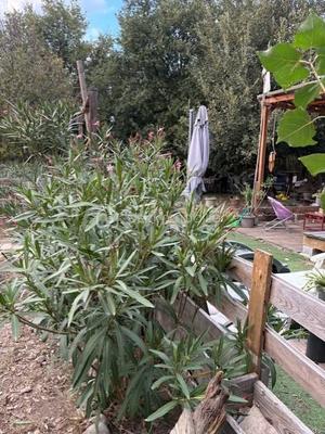 Terrain de loisirs - 3 325 m²