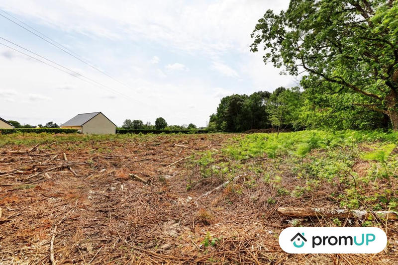 Terrain de loisirs - 4 000 m²