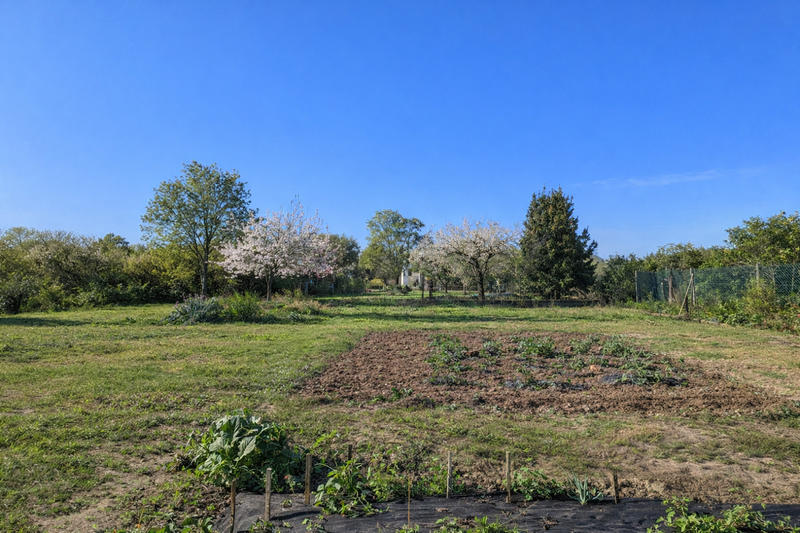 Viager - Maison - 112 m² - 5 pièces