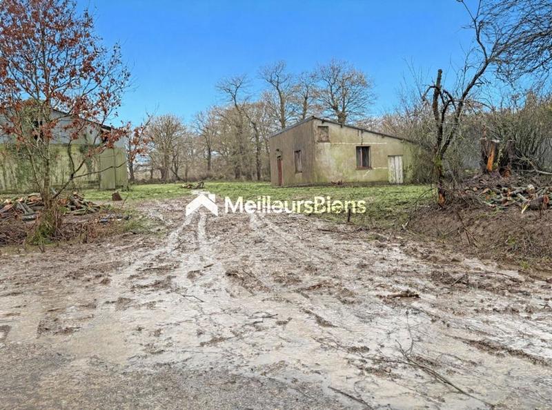 Maison de campagne - 60 m² - 3 pièces