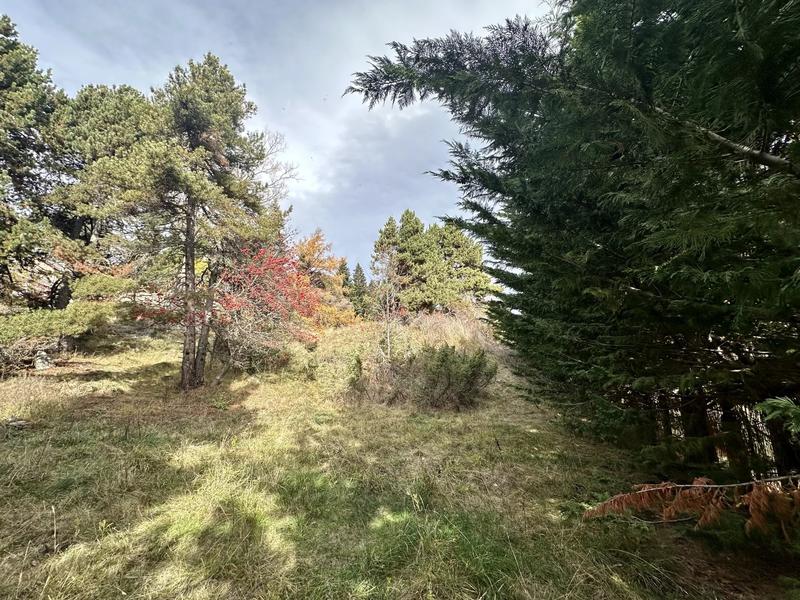 Terrain constructible - 1 572 m²