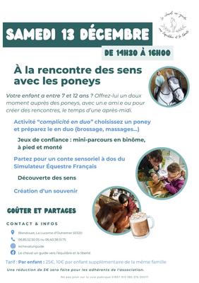 À la rencontre des sens avec les poneys