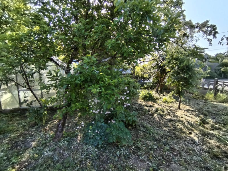 Maison - 48 m² - 2 pièces