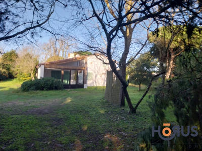 Viager - Maison traditionnelle - 140 m² - 5 pièces