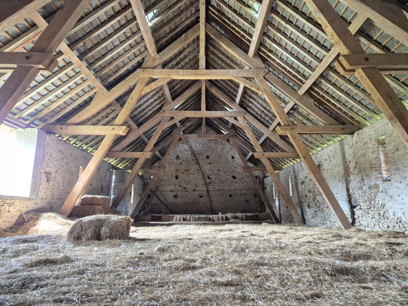 Château - 251 m² - 13 pièces