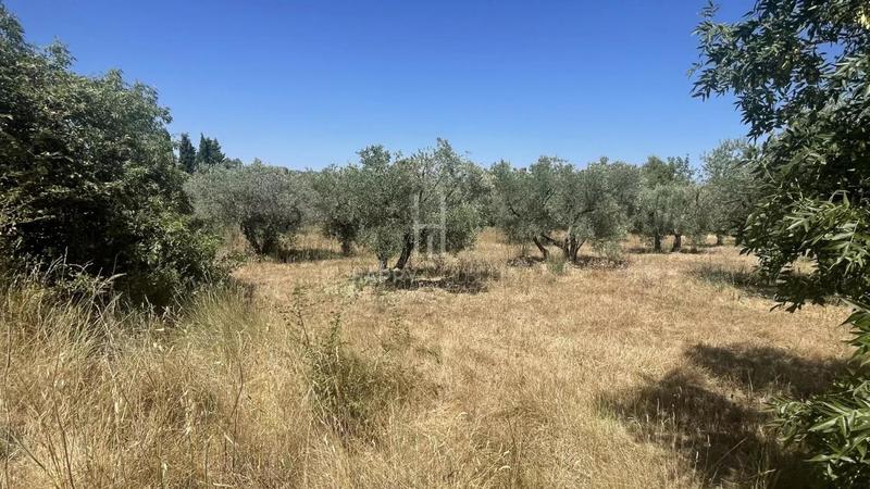 Maison - 165 m² - 7 pièces