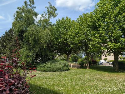 Appartement - 65 m² - 4 pièces