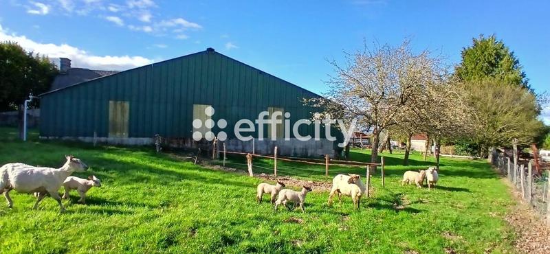 Corps de ferme - 110 m² - 4 pièces