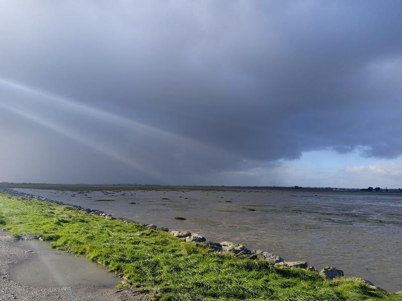 Oiseaux migrateurs de la Baie des Veys