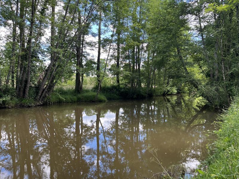 Maison - 261 m² - 7 pièces