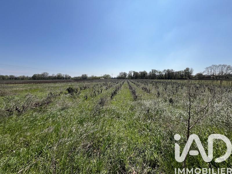 Terrain agricole - 8 225 m²