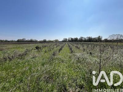 Terrain agricole - 8 225 m²