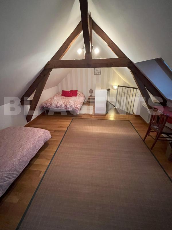 Maison de domaine - 325 m² - 14 pièces