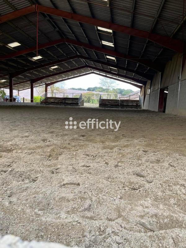 Maison de domaine équestre - 1 500 m²