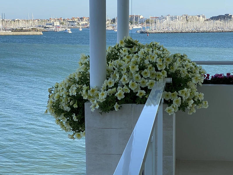 Appartement - 161 m² - 4 pièces