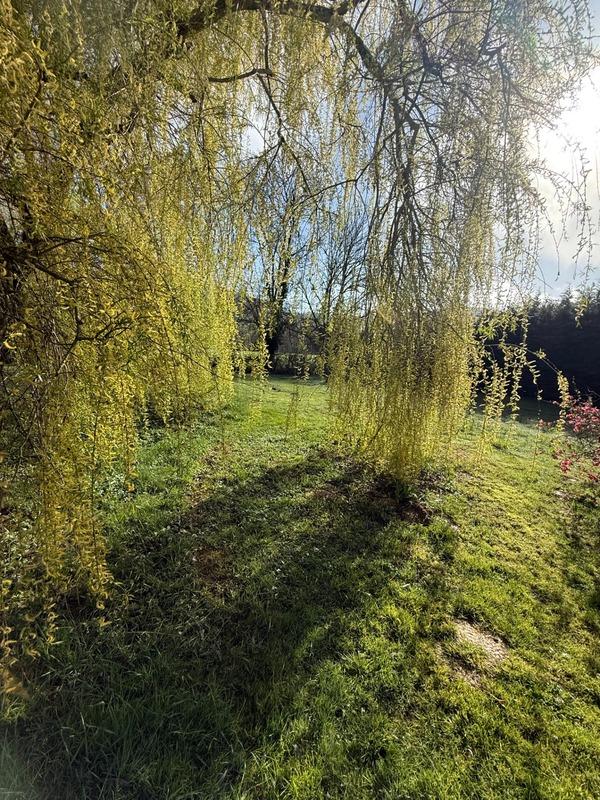 Maison - 215 m² - 10 pièces