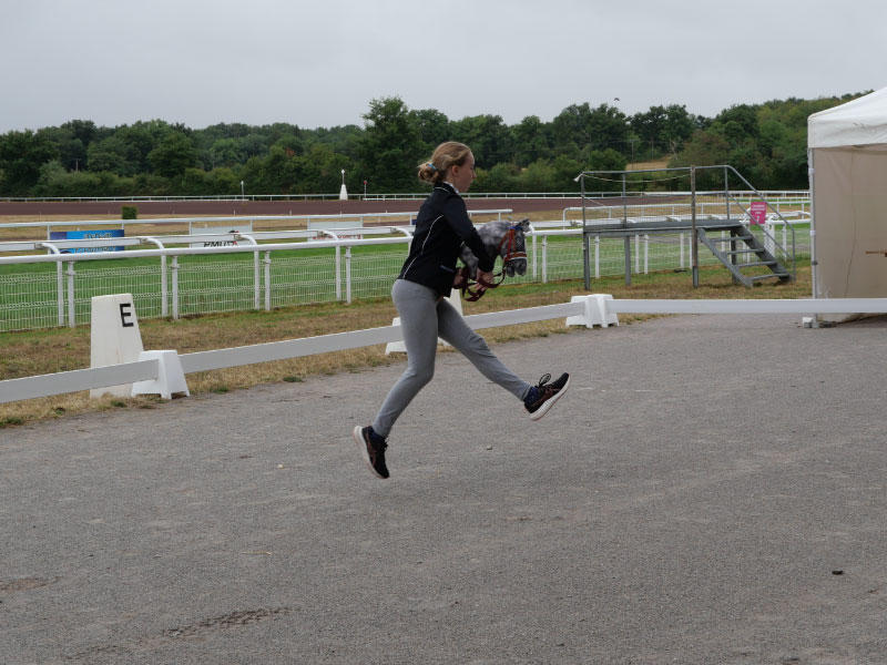 Rendez-vous hobby horsing