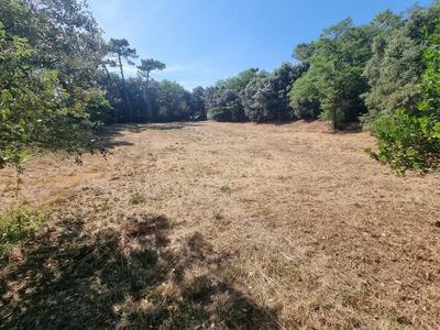 Terrain constructible - 3 058 m²