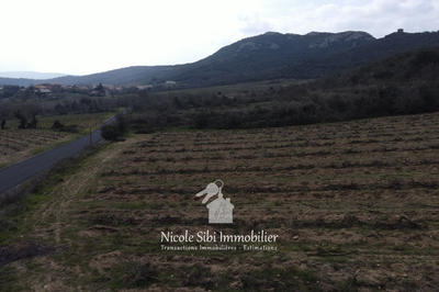 Terrain agricole - 7 897 m²