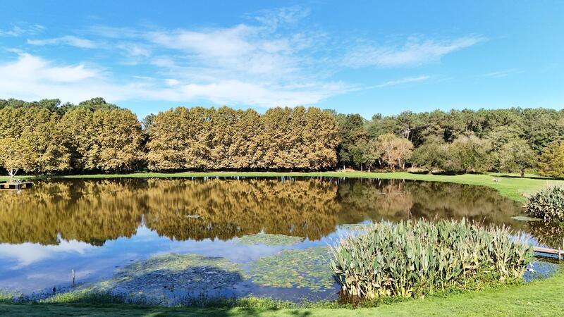 Propriété - 500 m² - 8 pièces