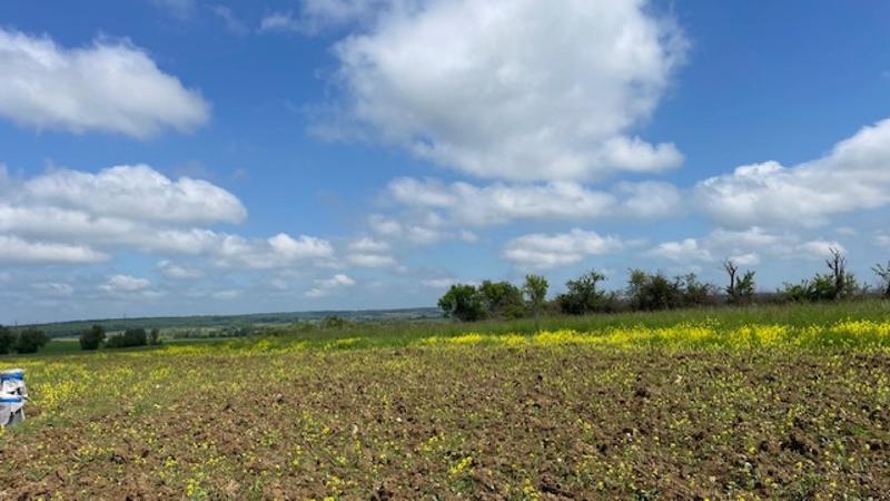 Terrain constructible - 821 m²