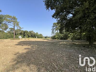 Terrain - 11 204 m²