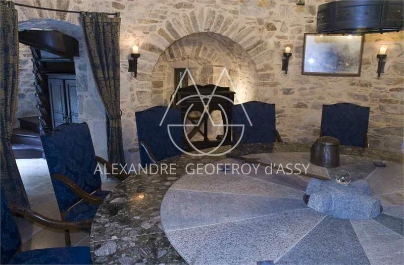 Château - 3 500 m² - 30 pièces