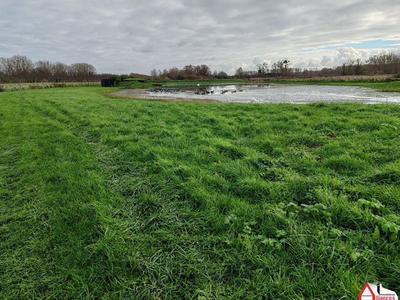 Terrain - 12 100 m²