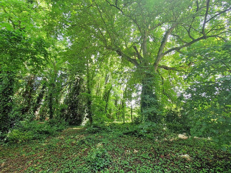 Maison - 208 m² - 8 pièces