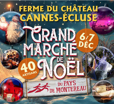 Marché de noël du pays de montereau