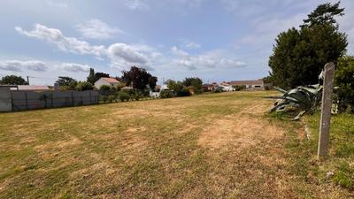 Terrain constructible - 1 277 m²