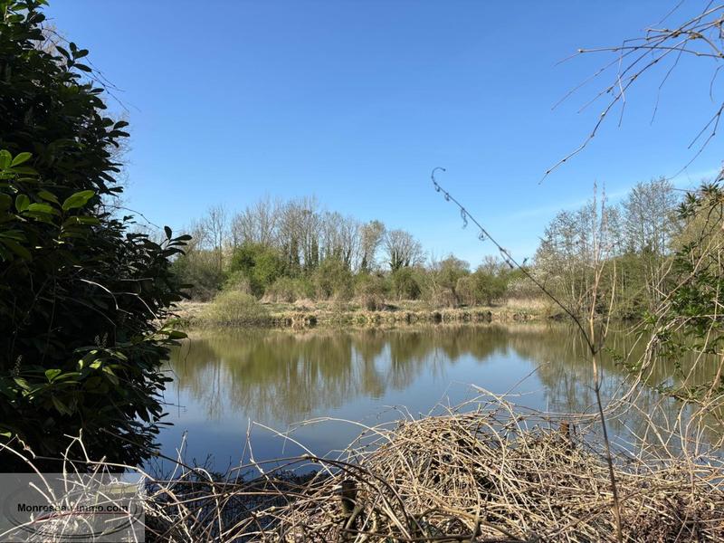 Terrain - 12 000 m²