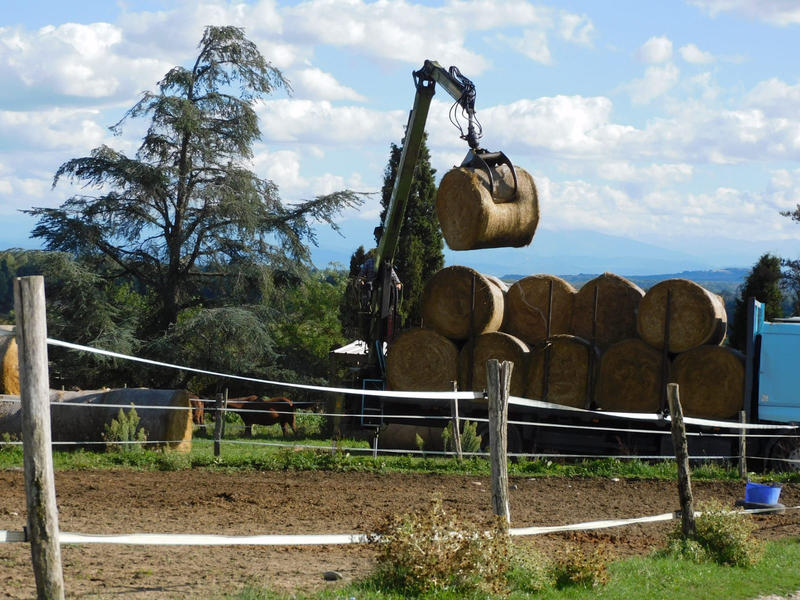Fonds de commerce - Magasins - 62 459 m²