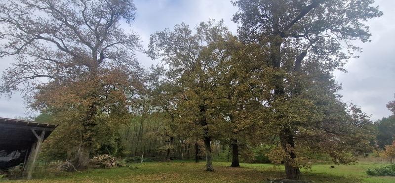 Maison en pierre - 95 m² - 5 pièces