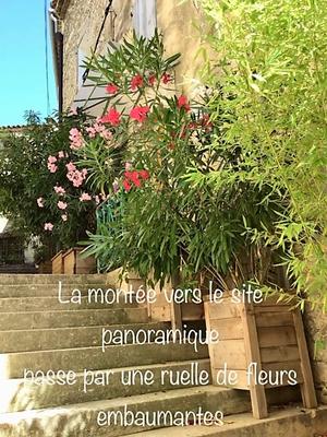 Gite de Mamy Anne * Malaucene * Ventoux * Vaucluse